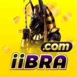 iibra VIP BR v3.1.0